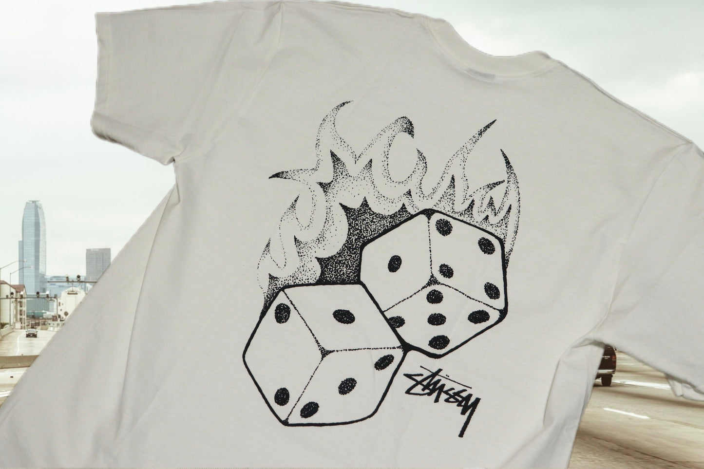 STUSSY Fire Dice T-shirt