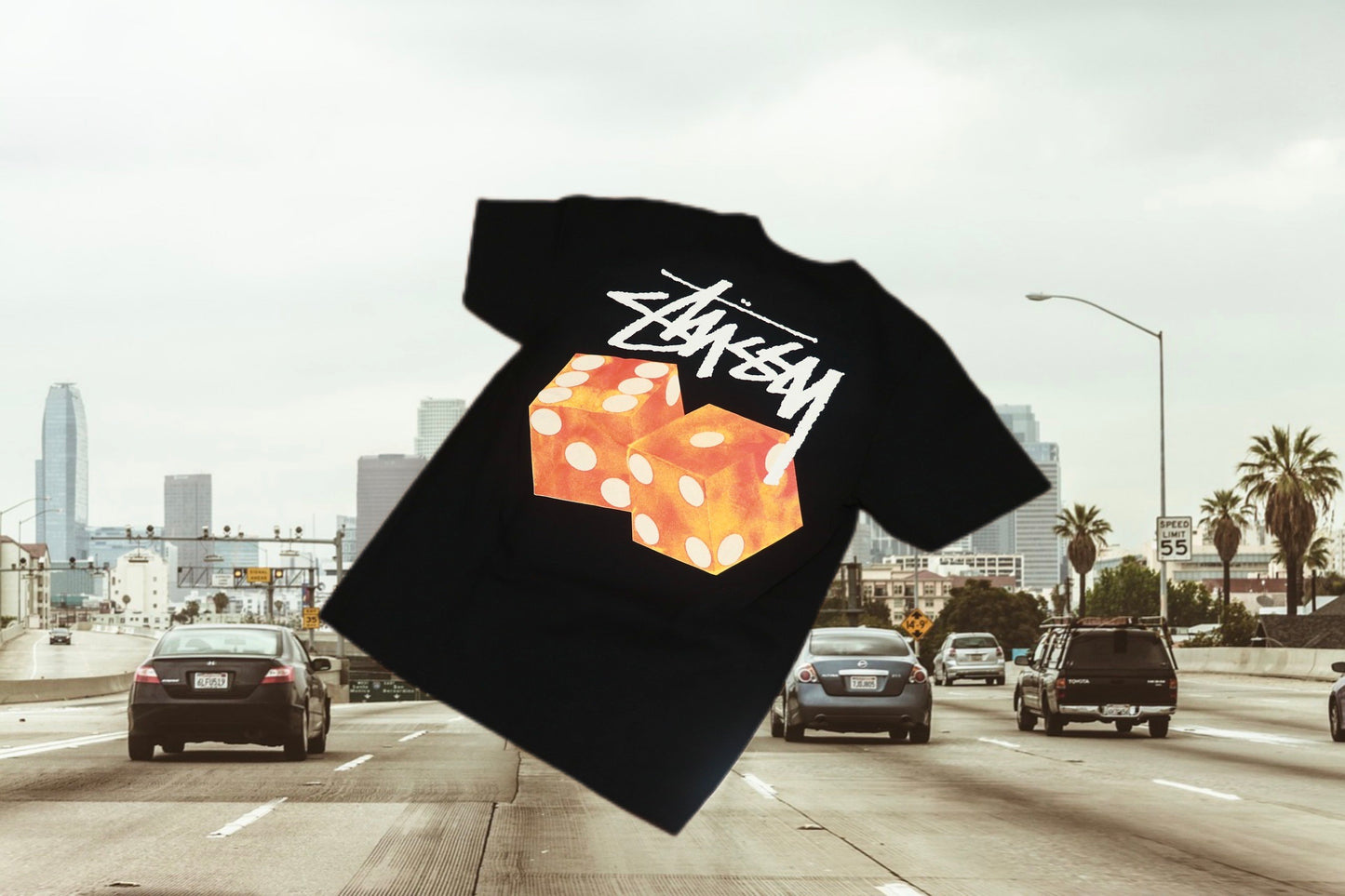 STUSSY Dice T-shirt