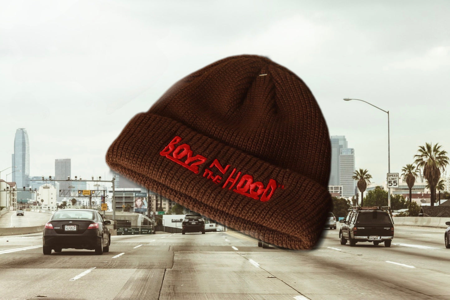 BOYZ N THE HOOD BEANIE BR
