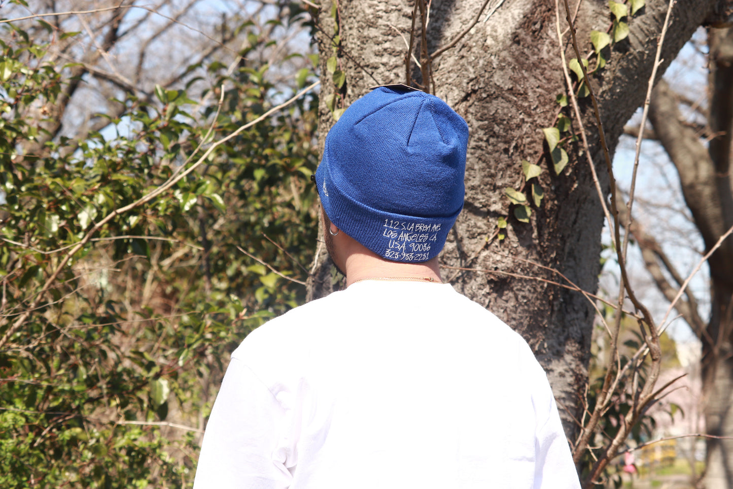 STUSSY LA chapter newera beanie