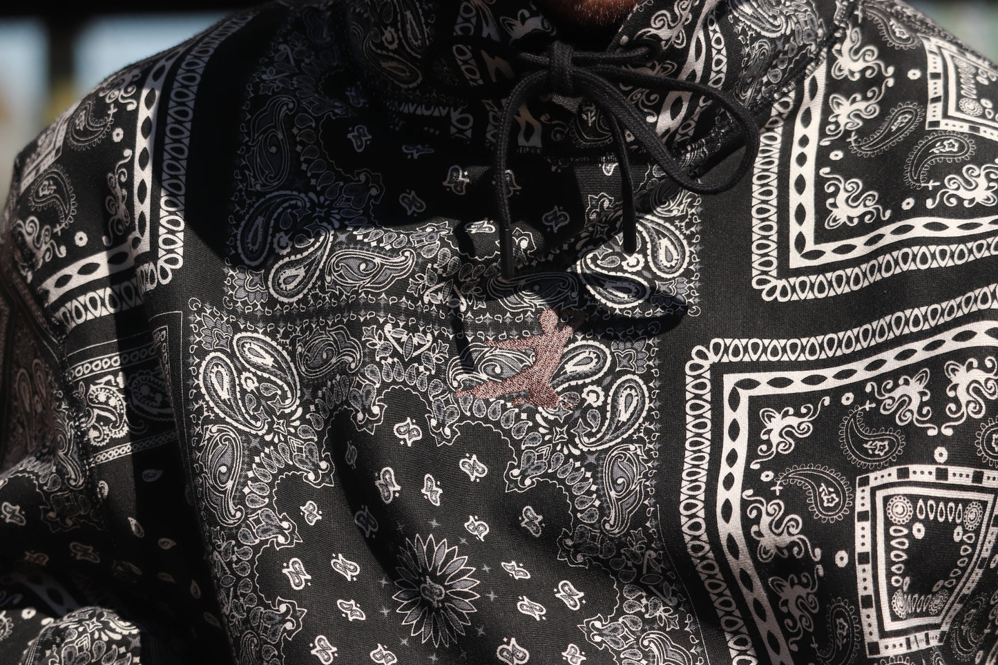 SP X BRUCE LEE PAISLEY SETUP