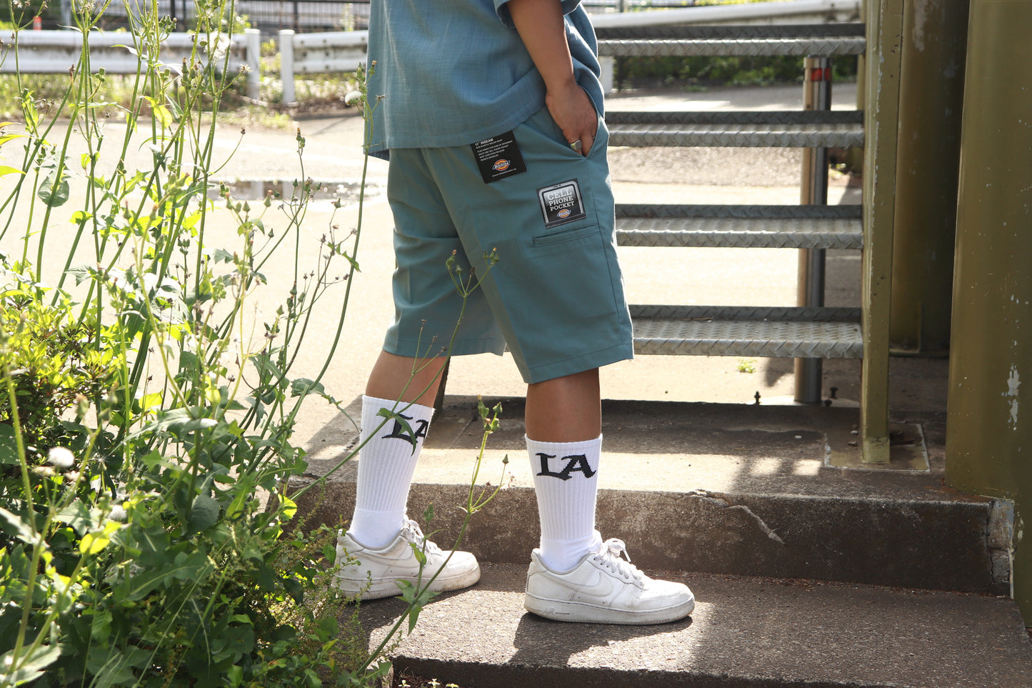 DICKIES Shorts