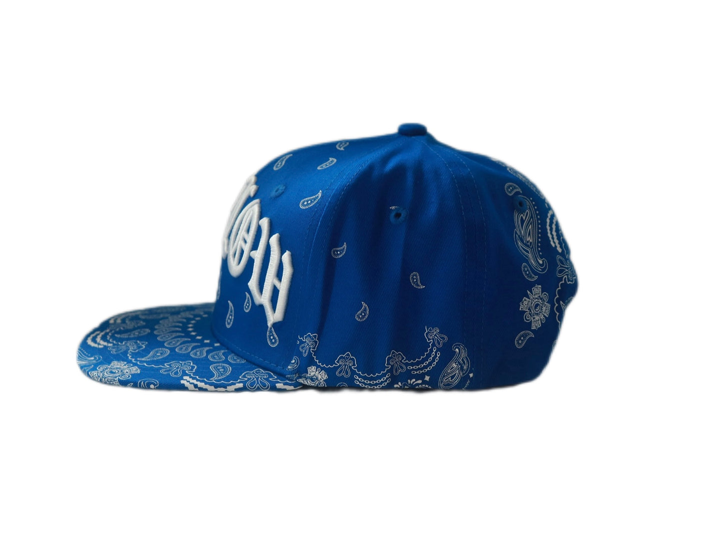 LOWLOW STREETWEAR Blood Blue SNAPBACK