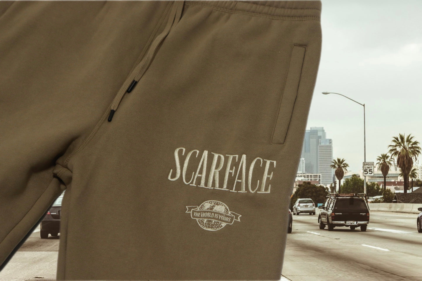 SCARFACE setup