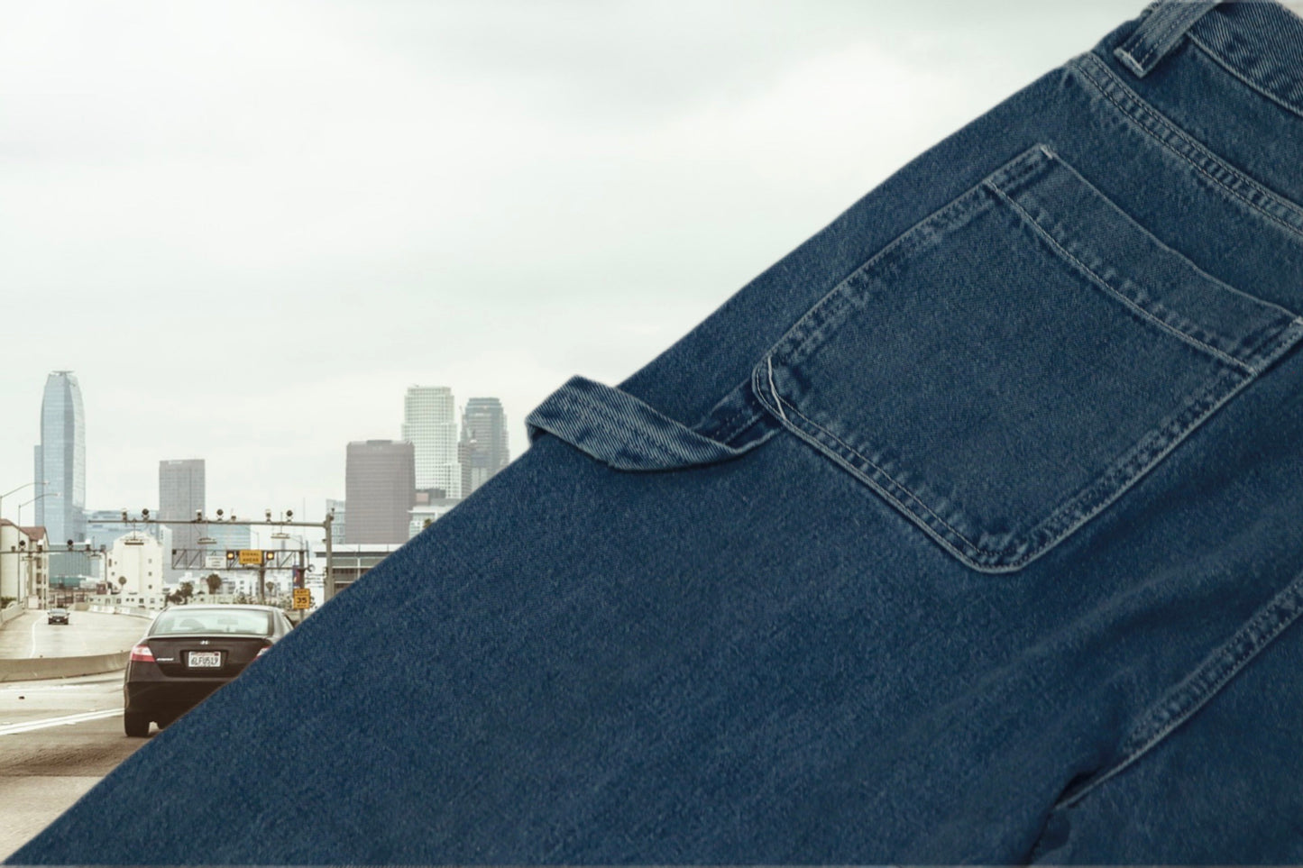 STUSSY painter denim