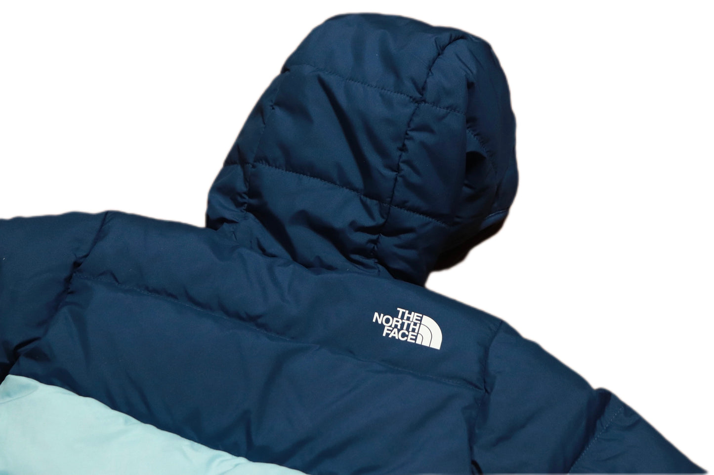 THE NORTH FACE DOWN JACKET