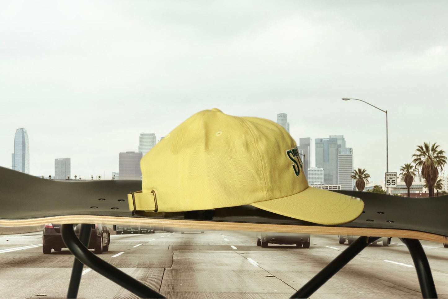 STUSSY cotton cap