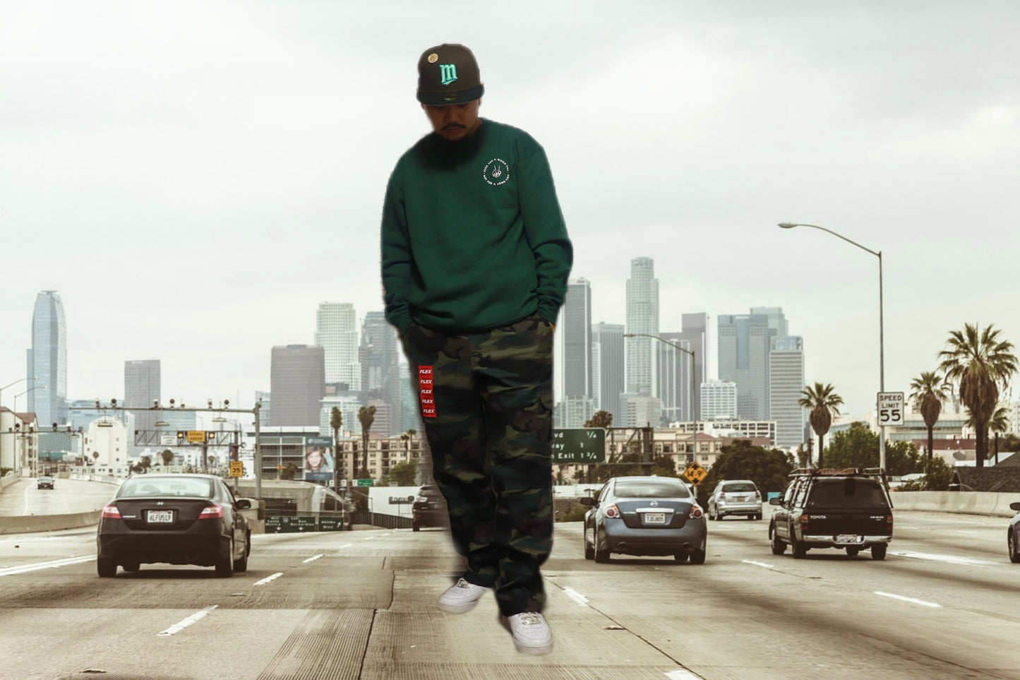 Dickies FLEX CARGO PANTS