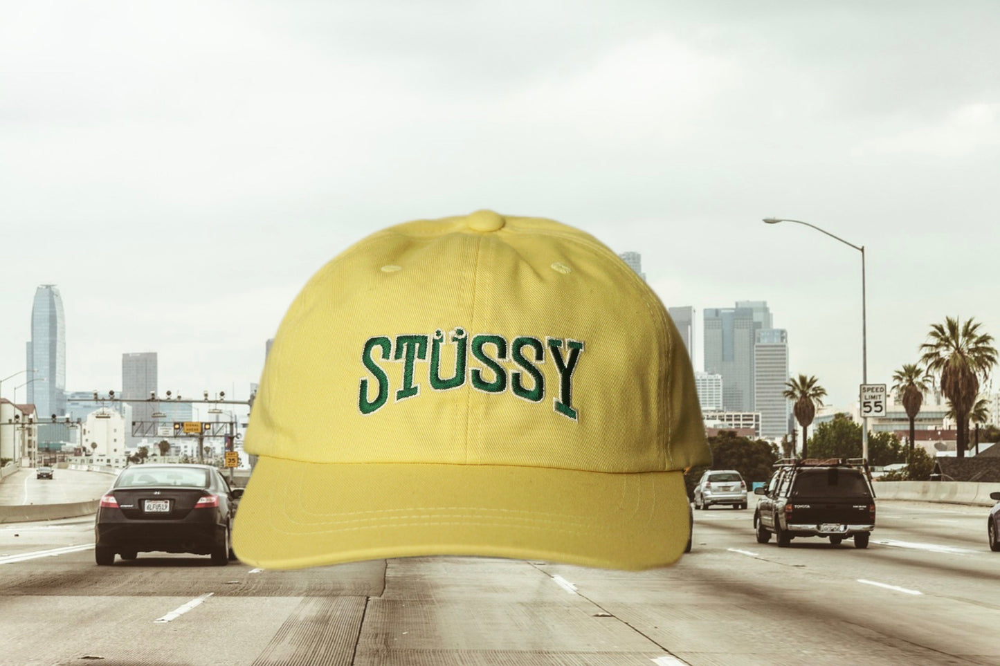 STUSSY cotton cap