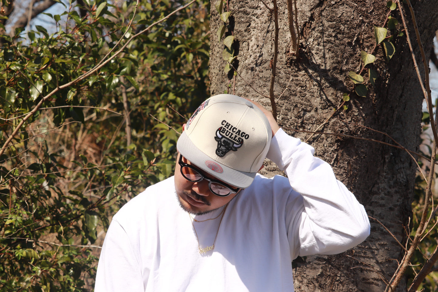 mitchell&ness Chicago Bulls NBA Chiment Snap Back