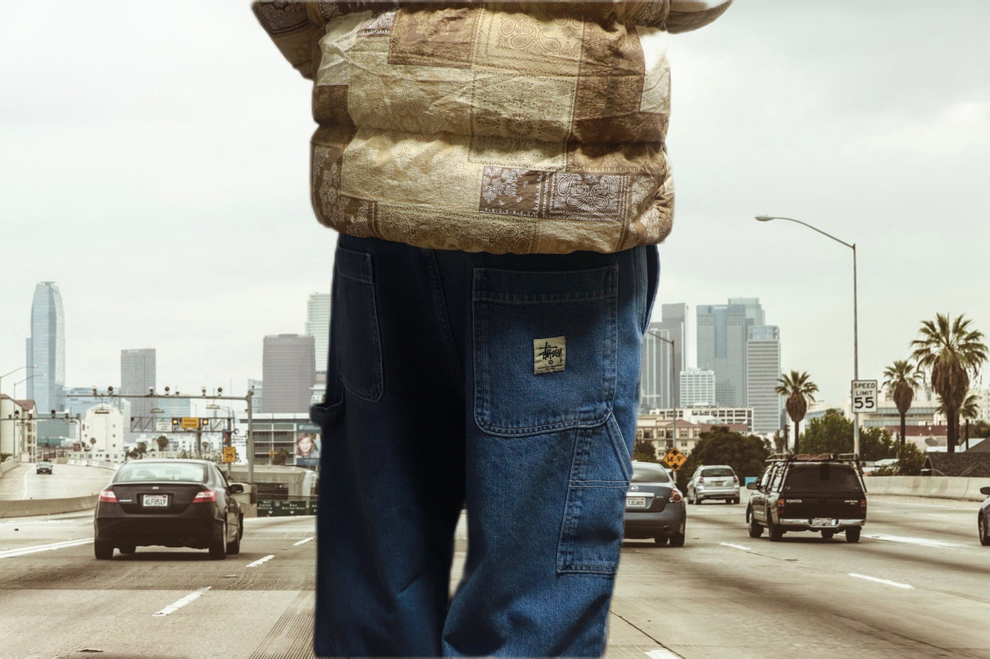 STUSSY painter denim