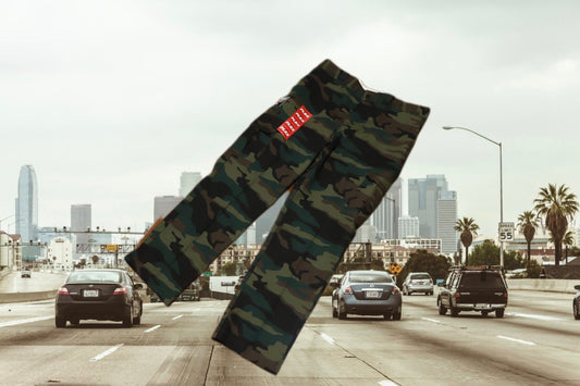 Dickies FLEX CARGO PANTS