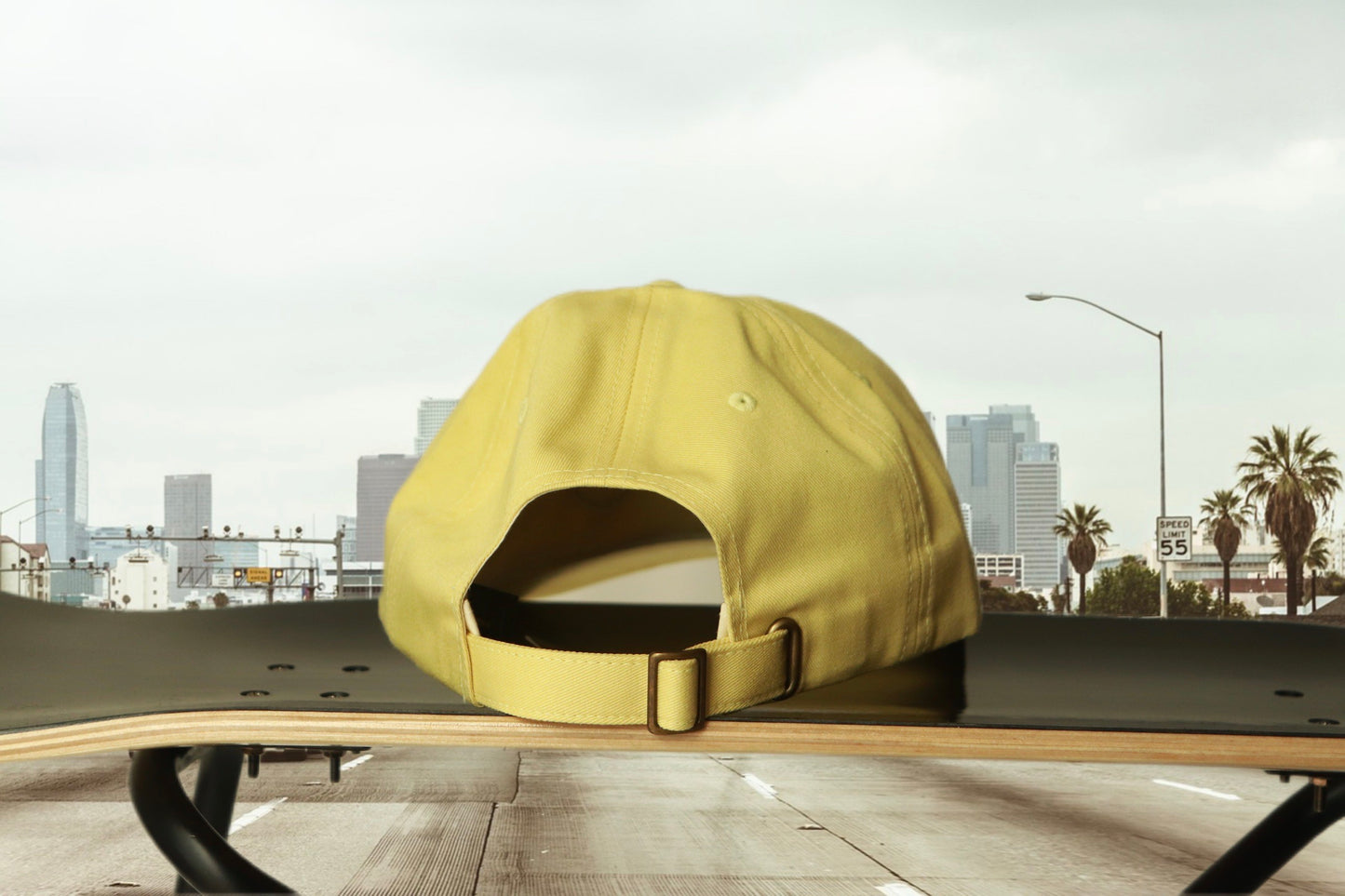 STUSSY cotton cap
