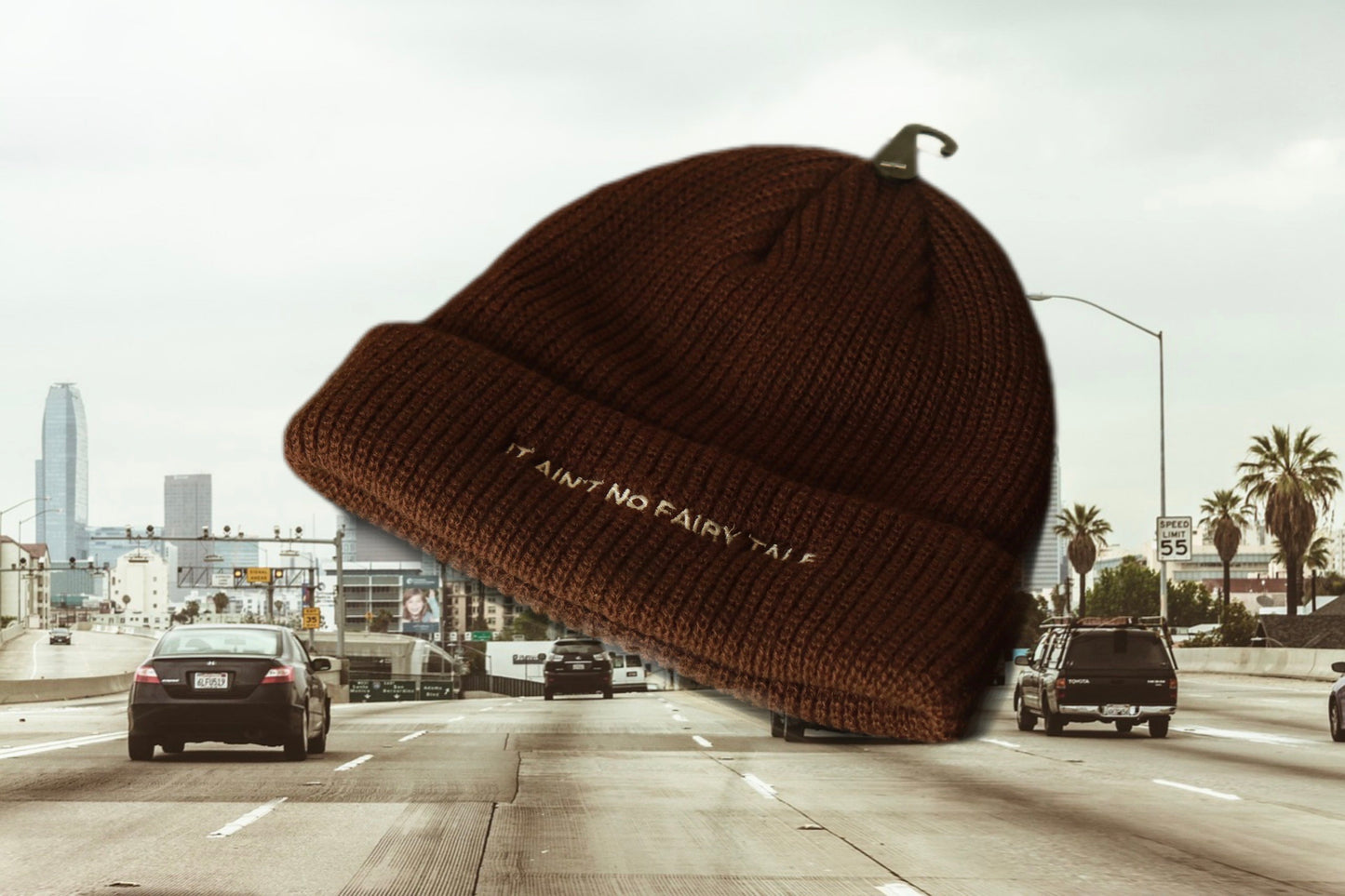 BOYZ N THE HOOD BEANIE BR