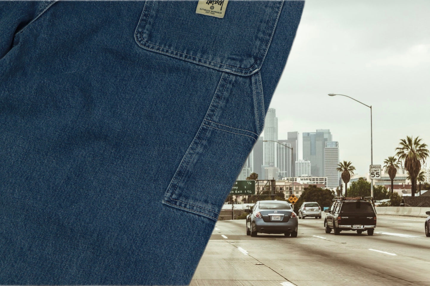 STUSSY painter denim