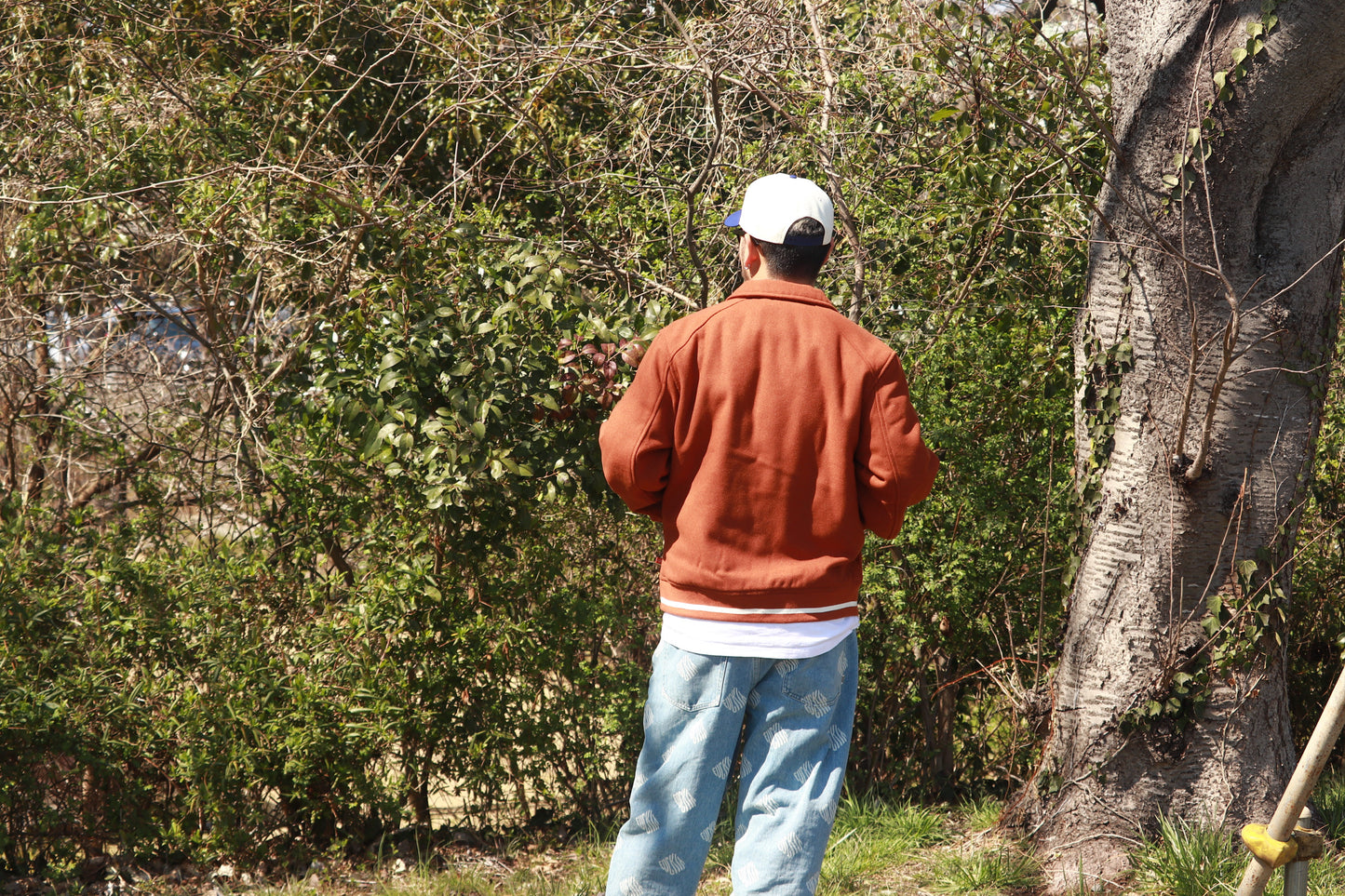 Dickies VARSITY