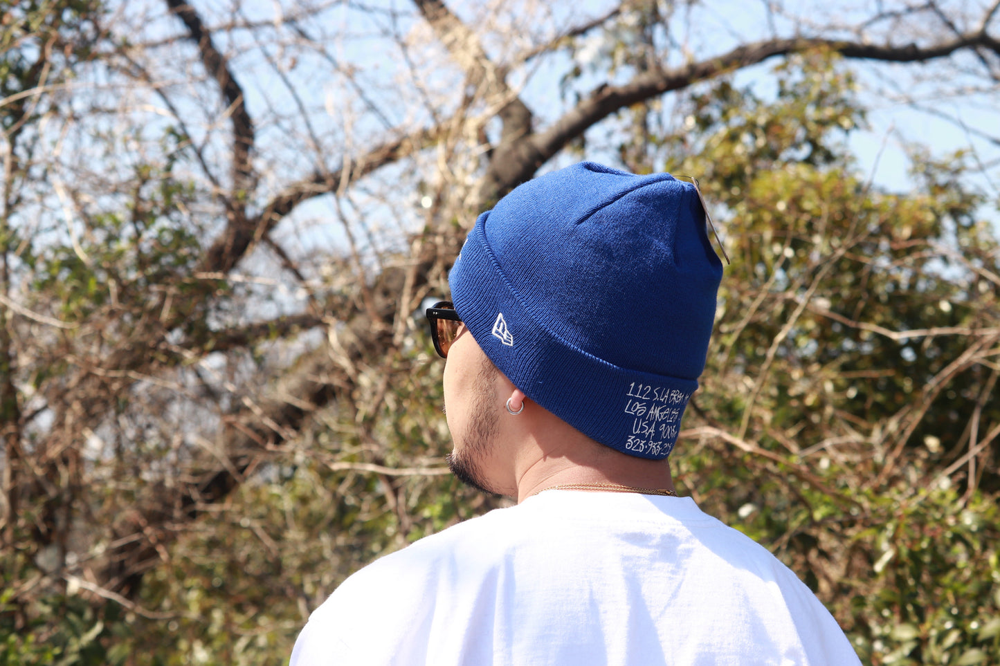 STUSSY LA chapter newera beanie