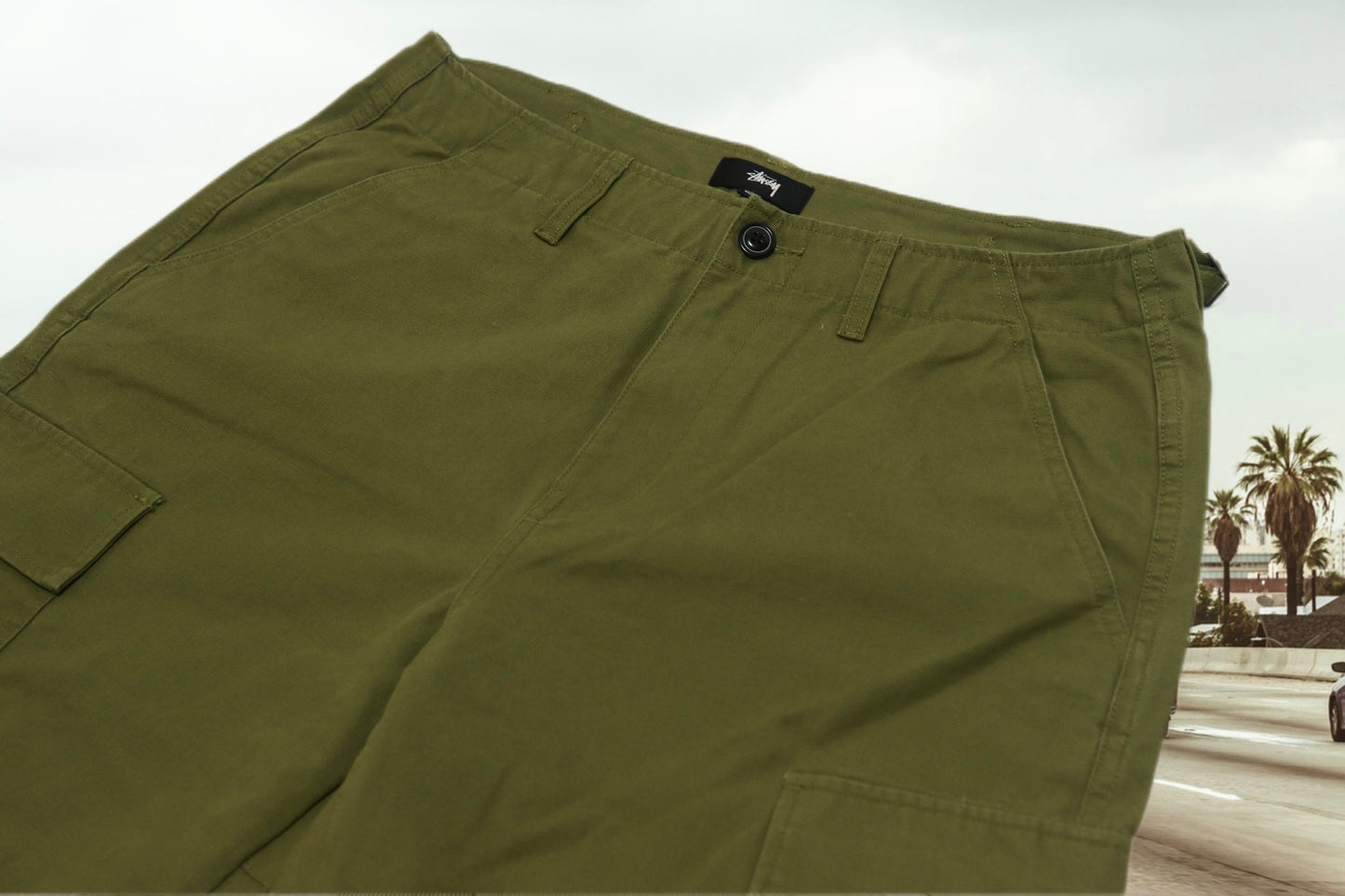 STUSSY cargo pants