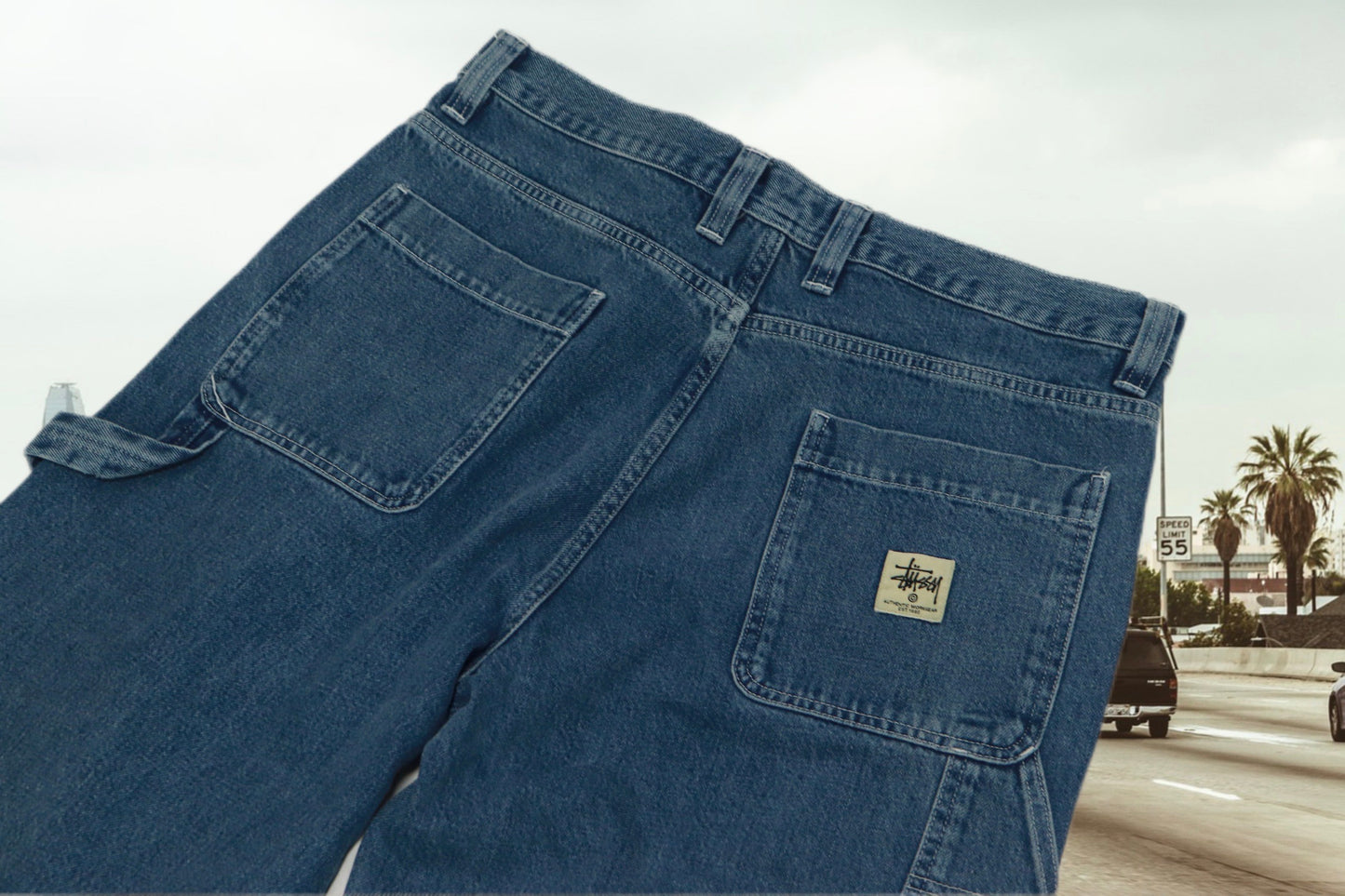 STUSSY painter denim