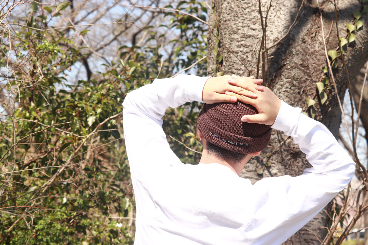 BOYZ N THE HOOD BEANIE BR