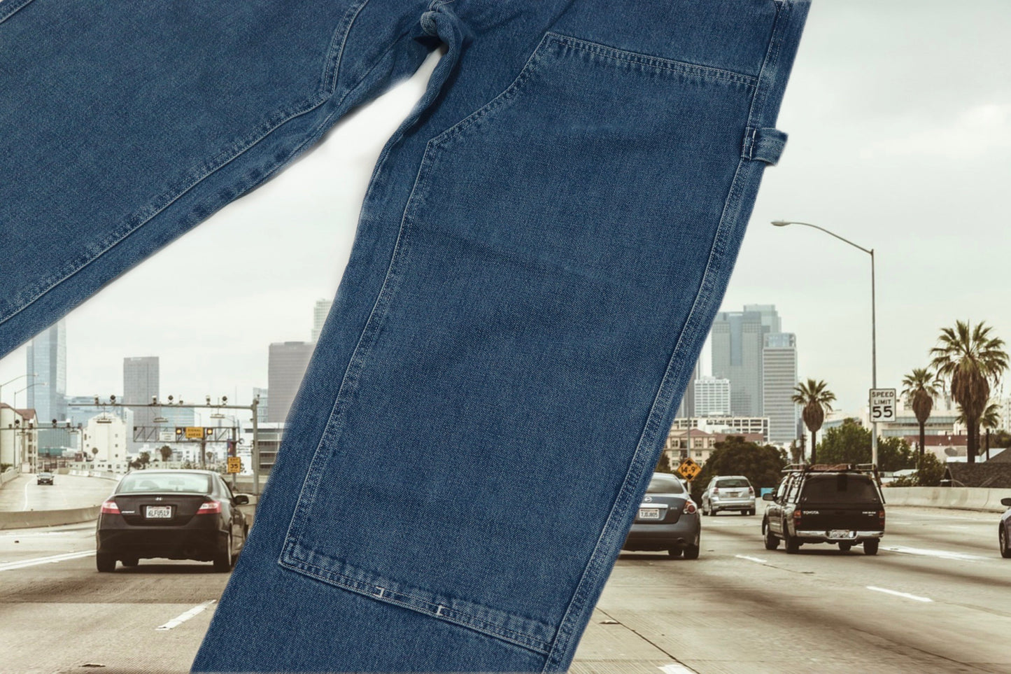 STUSSY painter denim