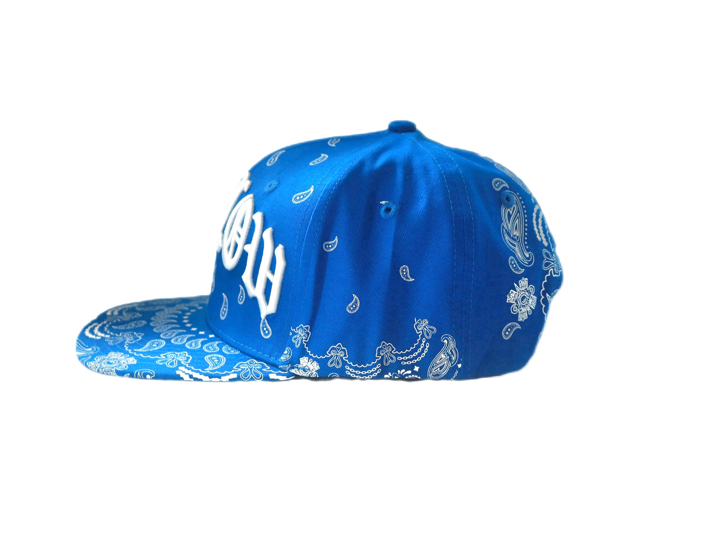LOWLOW STREETWEAR Blood Blue SNAPBACK