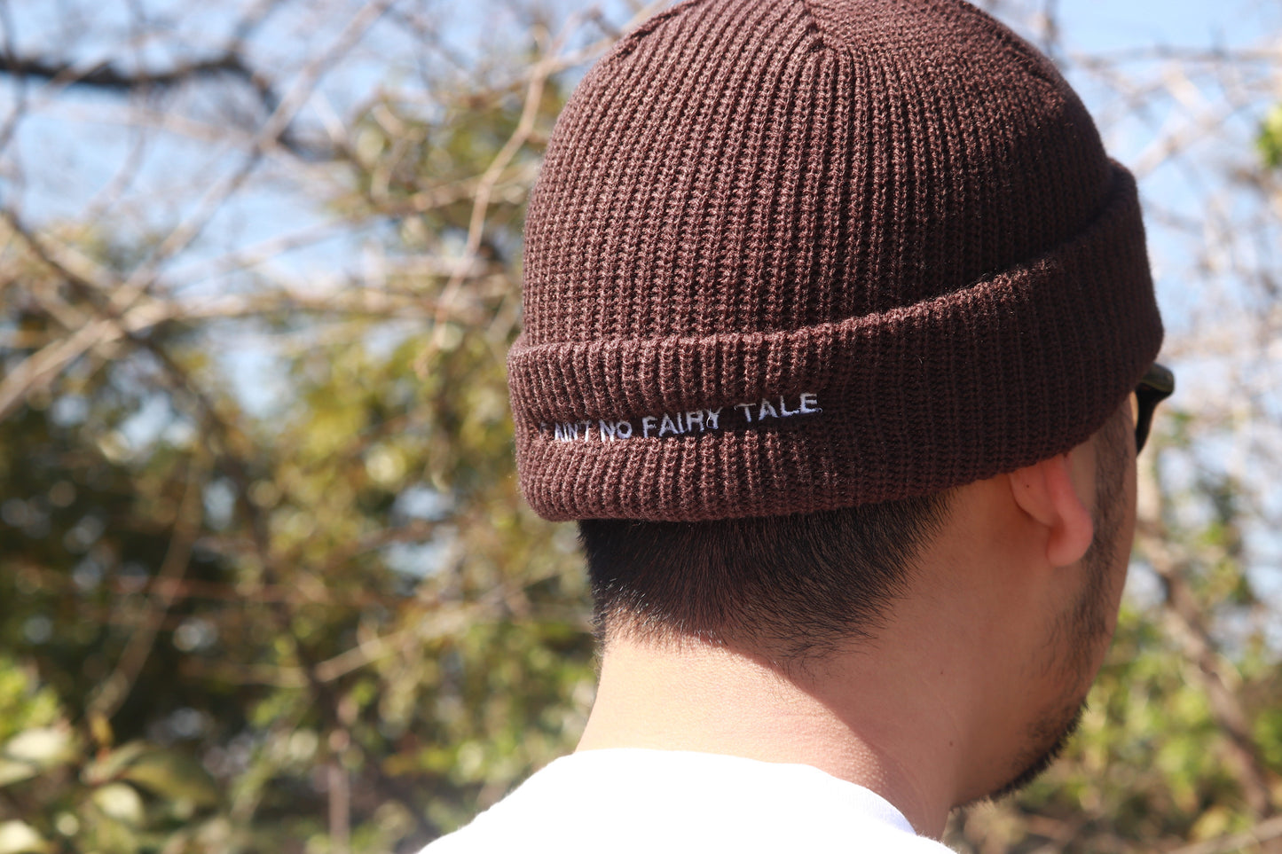 BOYZ N THE HOOD BEANIE BR