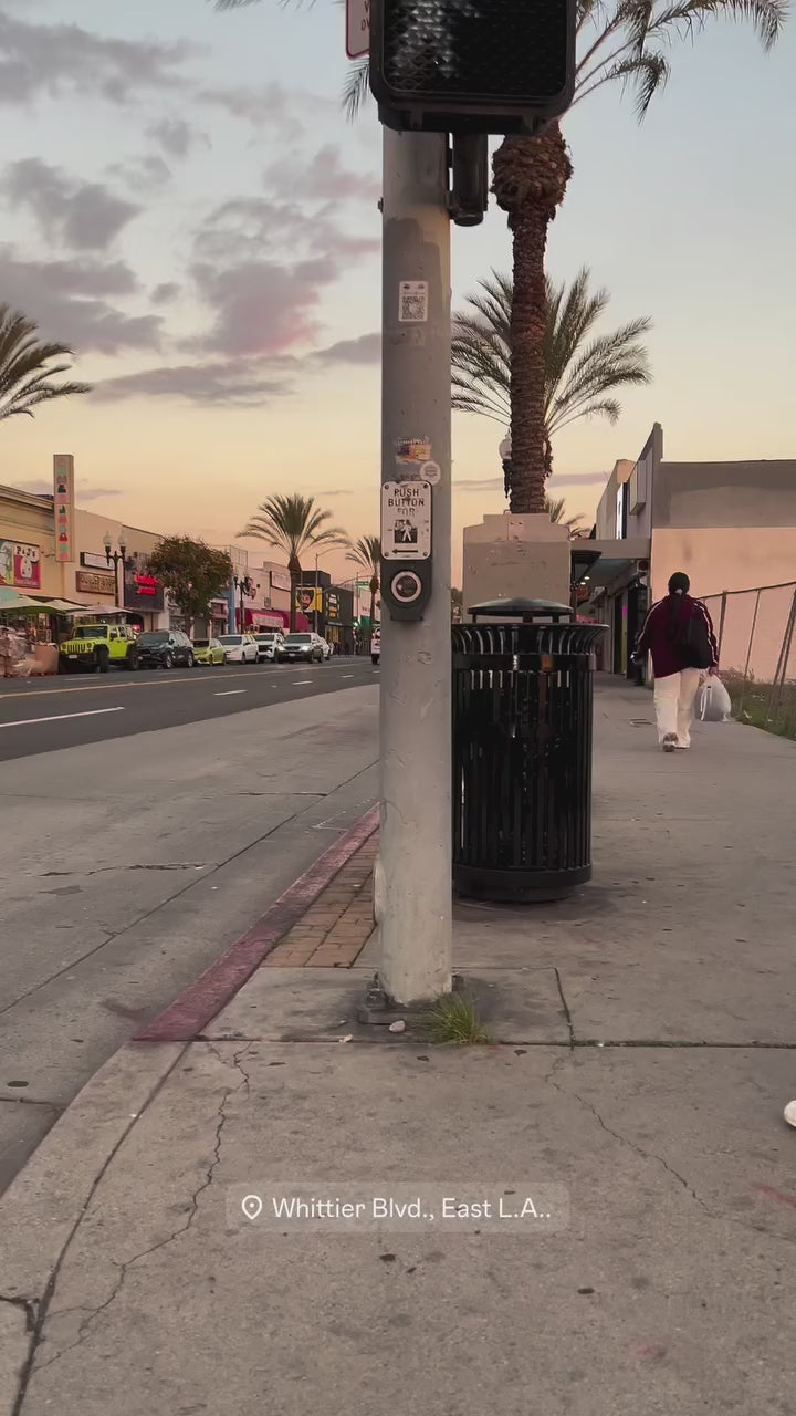 動画を読み込む: 